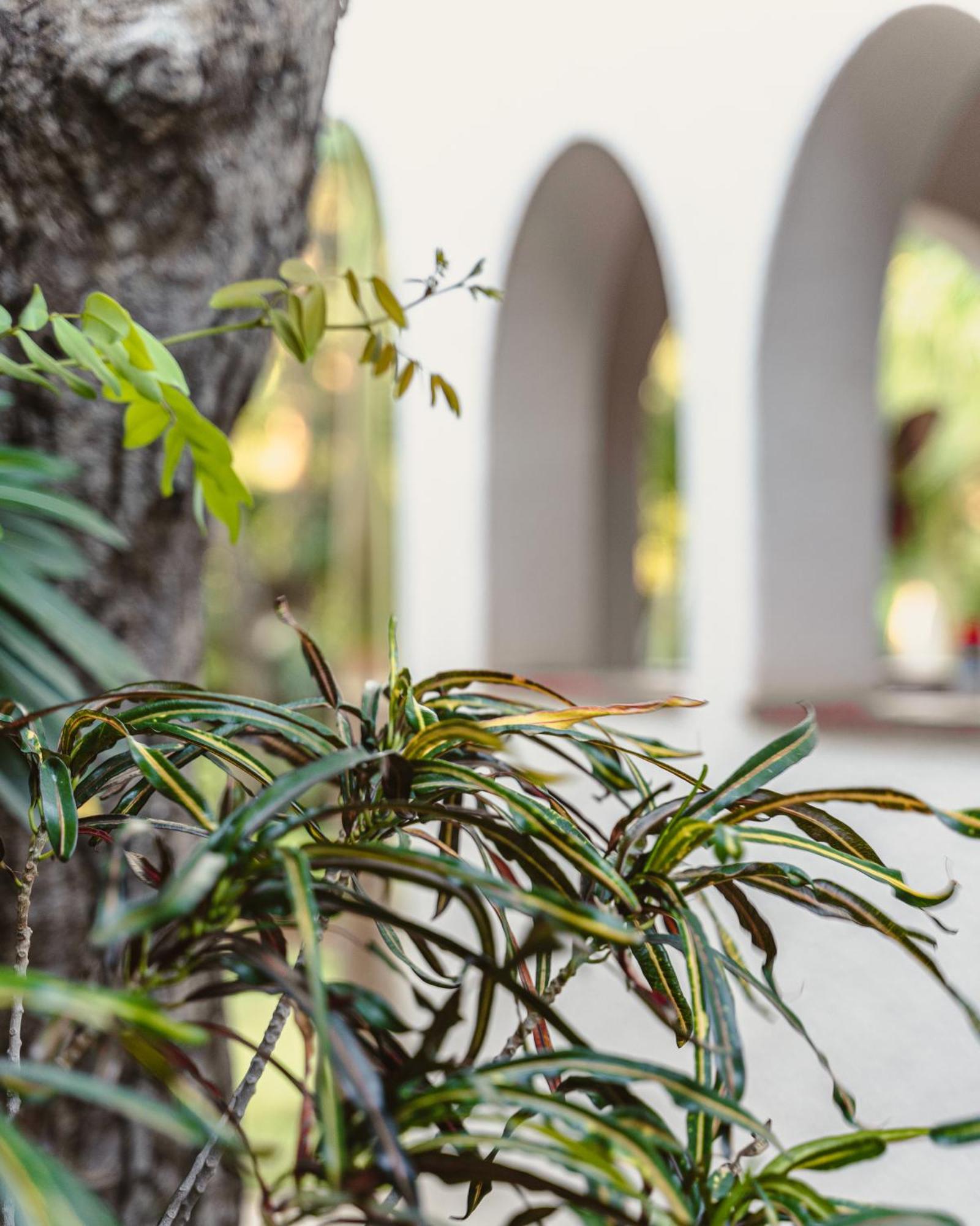 Jacaranda Lodge Καταρράκτες Βικτωρίας Εξωτερικό φωτογραφία