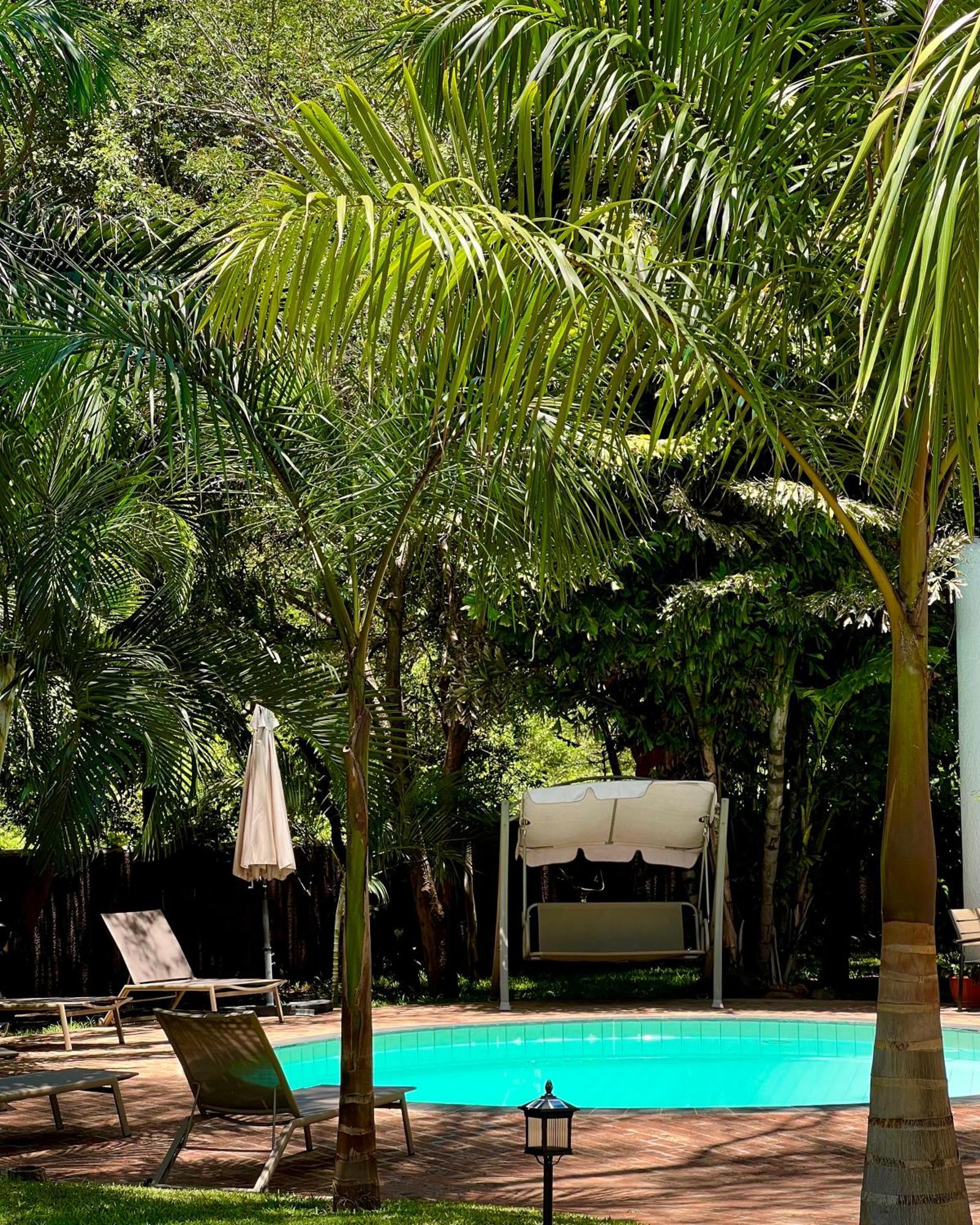 Jacaranda Lodge Καταρράκτες Βικτωρίας Εξωτερικό φωτογραφία